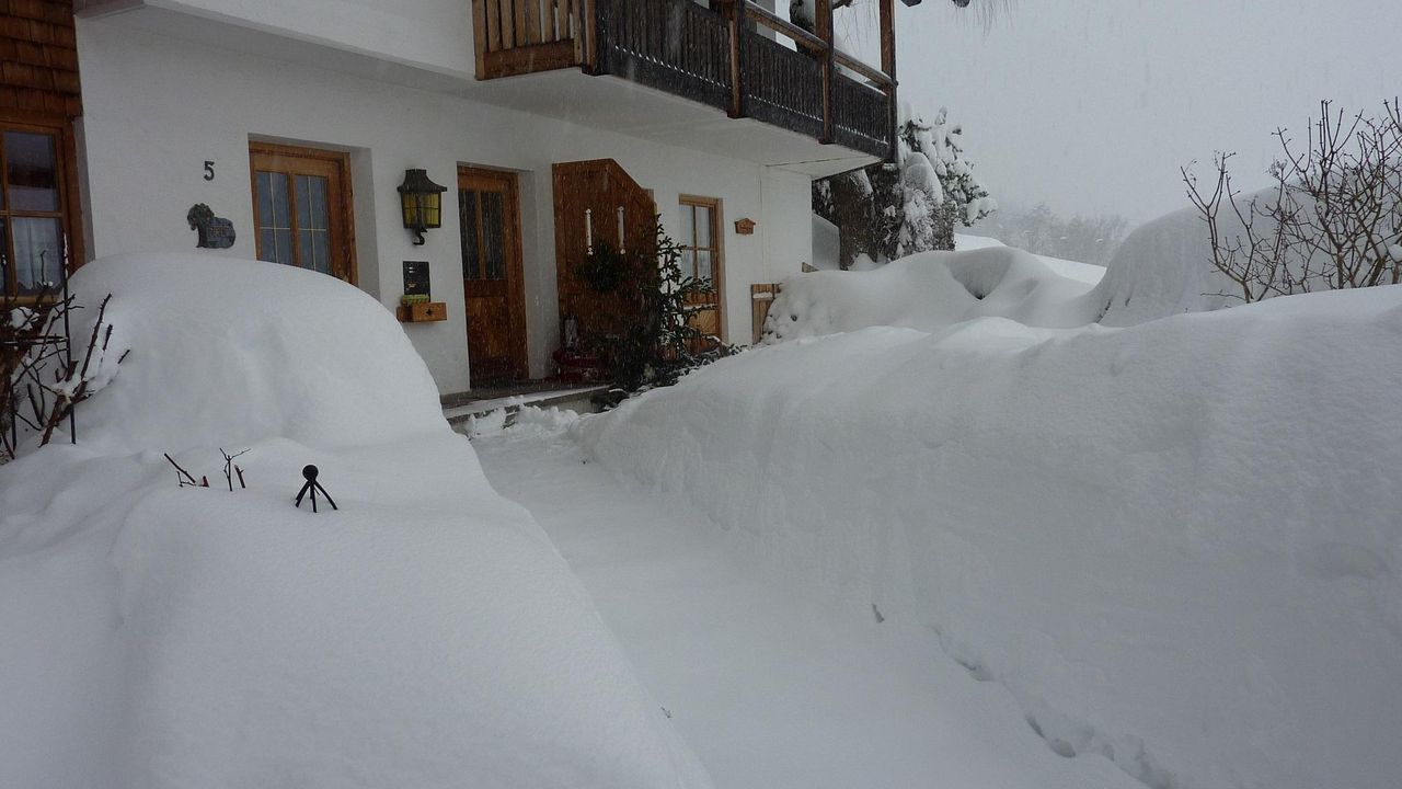 Winter Winter